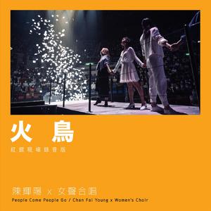 香港午夜三级片
